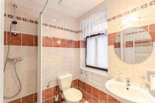 a bathroom with a toilet and a shower and a sink at Hotel Perla Jizery in Josefuv dul