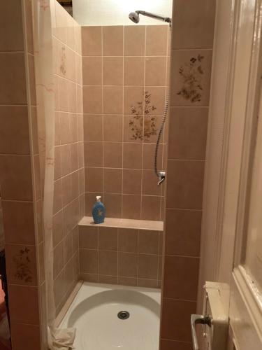 a bathroom with a shower with a toilet in it at Chambre Arnica lit 140 wifi sdb partagée in Saint-Amarin
