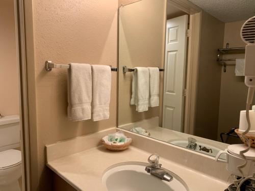 a bathroom with a sink, toilet and mirror at Hardman House in Carson City