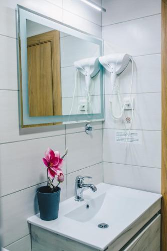 a bathroom with a sink and a mirror and a flower at Filips Sleep in Kragujevac