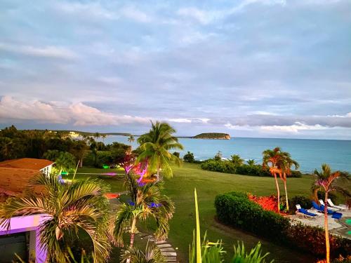 a view of the ocean from a resort with palm trees at Blue Horizon Boutique Resort in Vieques