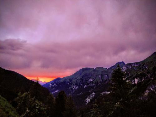 Fotografia z galérie ubytovania Apartment Sellaronda Canazei v destinácii Canazei