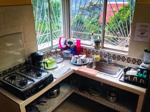 a kitchen counter with a stove and a sink at Casa finca El Girasol in Guayabal de Síquima