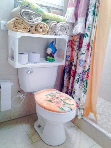 a bathroom with a toilet with a shower curtain at Casa finca El Girasol in Guayabal de Síquima
