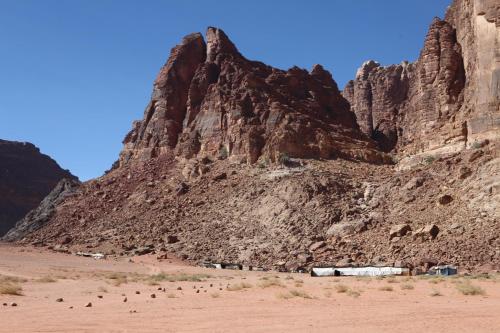 a mountain in the desert with a group of animals at Bedouin House Camp in Wadi Rum