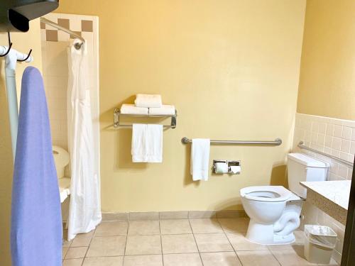 A bathroom at Holiday Inn Express Hotel and Suites Alice, an IHG Hotel
