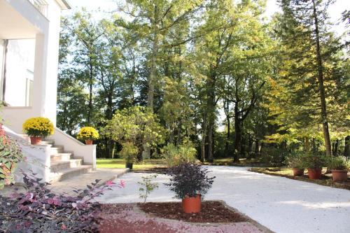 Villa La Casa Bianca – Photos 3