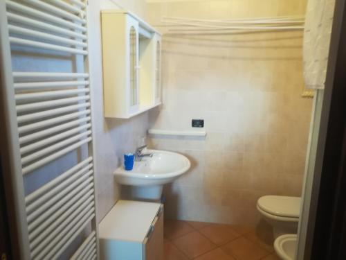 マントヴァにあるB&B Piccola Mantovaのバスルーム(洗面台、トイレ付)