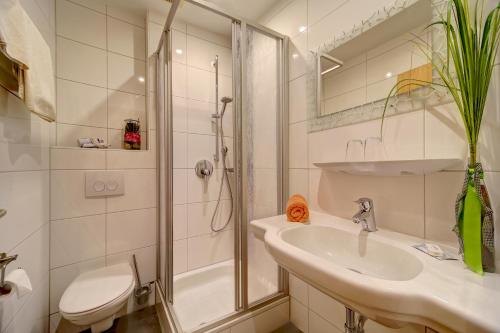 y baño con ducha, lavabo y aseo. en Zum Edlhof, en Obernzell