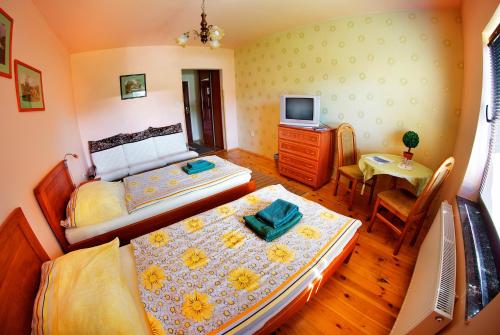 a small bedroom with two beds and a television at Penzion Plesnivec in Poprad