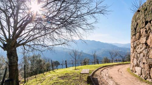 a bench sitting on a dirt road next to a tree at Douro Palace Hotel Resort & SPA in Baião