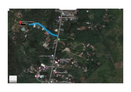 an overhead view of a map of a park at Selectum Mangrove Resort in Panglao