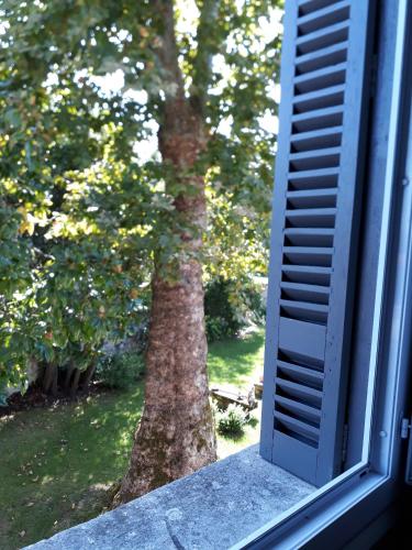 an open window with a tree in the yard at La Maison Reverdi in Lamarque