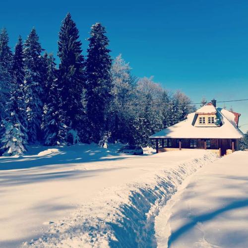 un cortile coperto di neve con una casa e degli alberi di Tara Cottage a Bajina Bašta