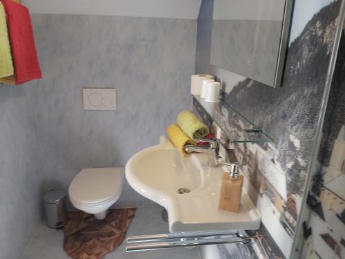 a bathroom with a sink and a toilet at Haus Binder in Weissensee