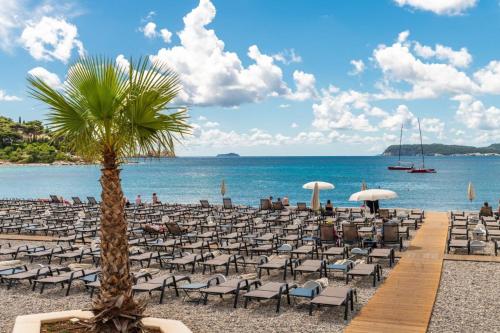 a beach with a lot of chairs and a palm tree at Villa Ruza in Dubrovnik