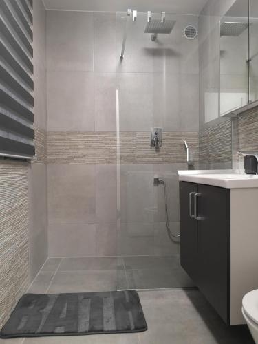 a bathroom with a shower with a glass door at APP Aleksa 6168 in Čatež ob Savi