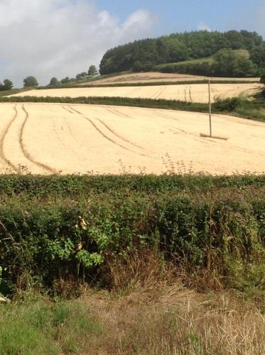Lower Pinn Farm – Photos 3