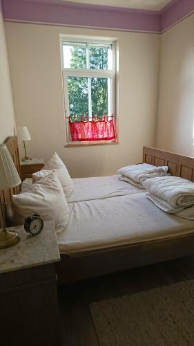 two beds in a bedroom with a window at Ferienwohnung Forsthaus in Neustadt am Rennsteig