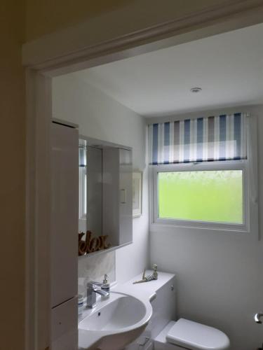 a bathroom with a sink and a toilet and a window at 13 The Park in Kilkhampton