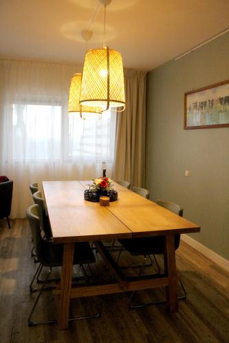 a dining room table with chairs and a light fixture at Polderhoek in Woubrugge