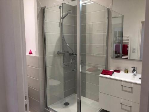 une salle de bain avec douche et lavabo dans l'établissement La Renaissance au coeur du centre historique, à Beaune