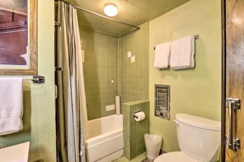 a bathroom with a toilet and a sink and a shower at Quaint and Rustic A-Frame Less Than 5 Mi to Plumas-Eureka! in Plumas Eureka