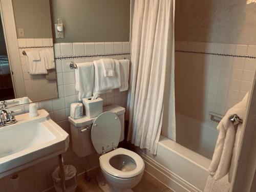 Phòng tắm tại Farrell House Lodge at Sunnybrook Trout Club
