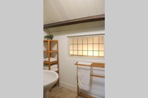 a bathroom with a toilet and a sink at Huisje Vogelenzang Zeeland in Sint Annaland