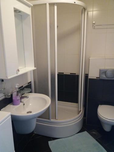 Ένα μπάνιο στο Apartman Ema