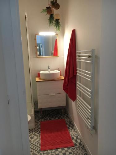 a bathroom with a sink and a mirror at Un petit coin de paradis au centre ville de Caen in Caen