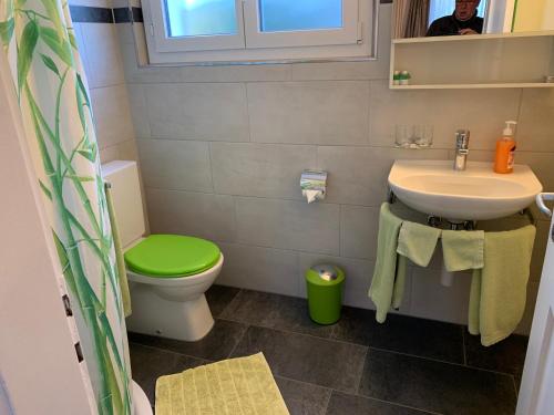 a bathroom with a green toilet and a sink at El's-Guesthouse in Bannwil
