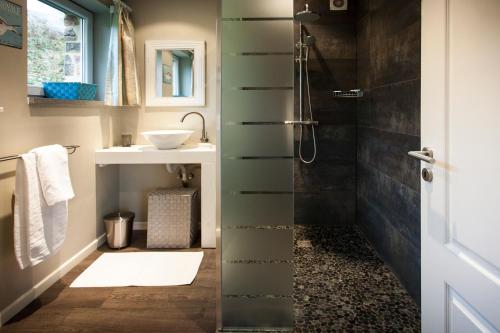 ein Bad mit einer Dusche und einem Waschbecken in der Unterkunft Le Rêve d'Elise in Stoumont