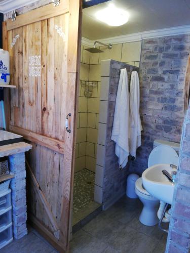 a bathroom with a shower and a toilet and a sink at Pillow Place Parys in Parys
