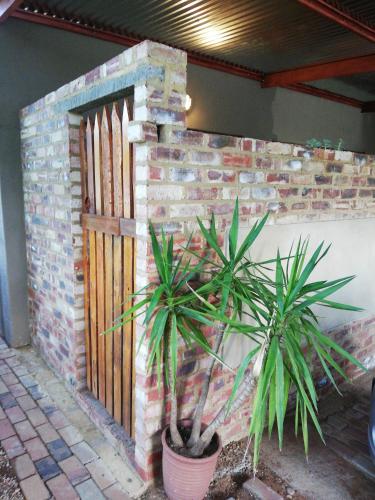two palm trees in front of a wooden gate at Pillow Place Parys in Parys