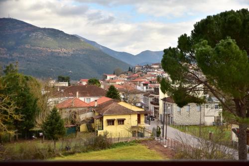 a group of houses in a town with mountains at Mont Helmos Hotel in Klitoria