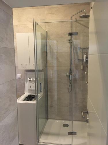 a shower with a glass door in a bathroom at Summer Home No. 8 in Fažana