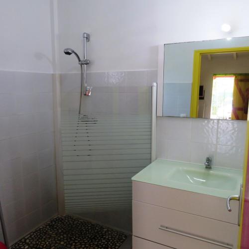 a bathroom with a shower with a sink and a mirror at Gite KAZ A LILINE in Le Moule