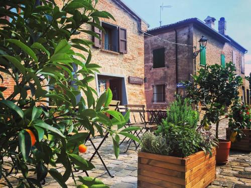 a building with an orange tree in front of it at Malatesta Antica Dimora in Longiano