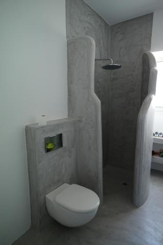 a bathroom with a white toilet and a shower at Villa Chelidonia in Karpathos