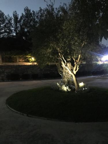 Κήπος έξω από το Agia Mavri House