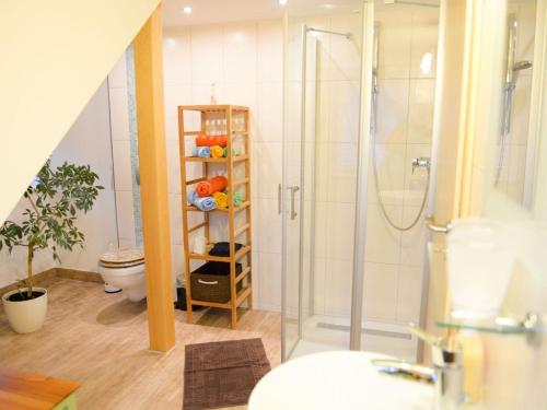 bagno con doccia e servizi igienici. di Apartment Schneestern a Suhl
