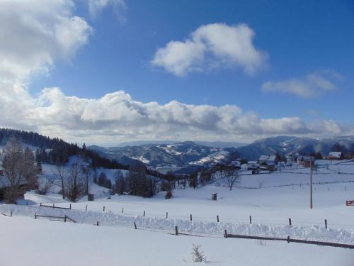 a snow covered hill with a fence and mountains at Vikendica Sekulić in Bajina Bašta