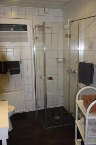 ein Bad mit einer Glasdusche und einem WC in der Unterkunft Ferienwohnung Fackiner in Gemünden an der Wohra