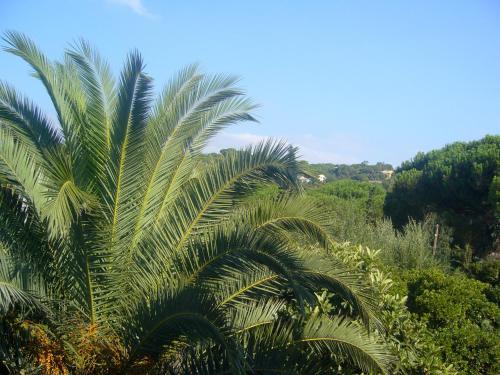 Paisaje cerca de este hotel