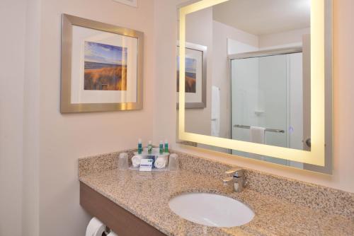 a bathroom with a sink and a mirror at Holiday Inn Express & Suites Dearborn SW - Detroit Area, an IHG Hotel in Dearborn