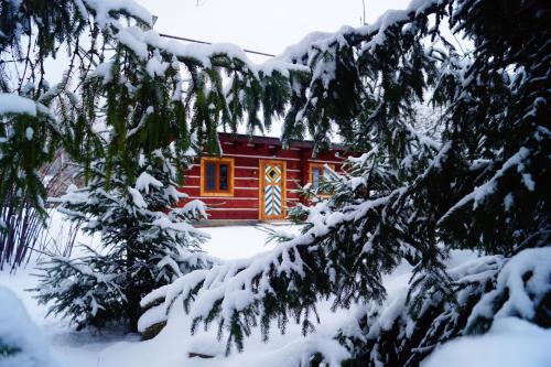 eine kleine Hütte im Schnee mit schneebedeckten Bäumen in der Unterkunft Smolnikowe Klimaty - Chyżula in Komańcza