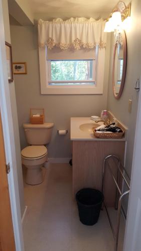 a bathroom with a toilet and a sink and a window at TeelCoveCottageMaine in Saint George
