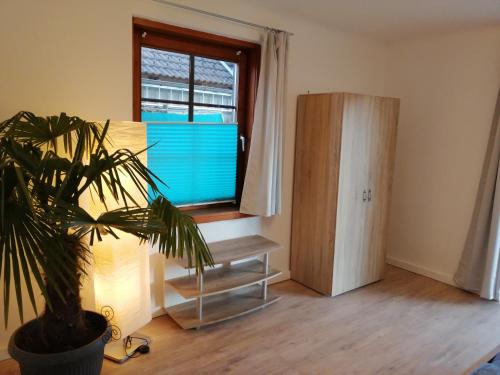 a room with a potted plant and a window at Parkweg Lodge in Faak am See