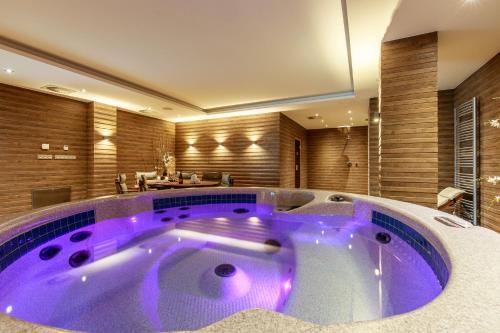 a large purple bath tub in a bathroom at Rezidence Moser Apartments in Karlovy Vary